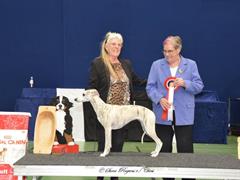 Yasmin Best In Show